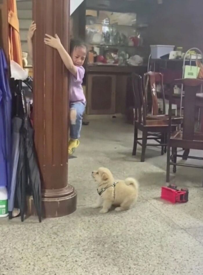 33 Animal Pics That Are Basically Instant Mood Boosters