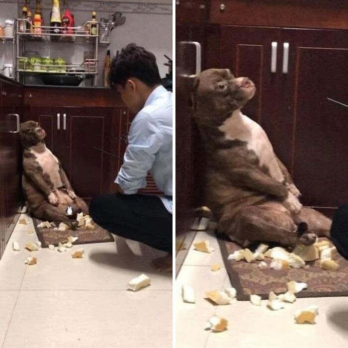 33 Animal Pics That Are Basically Instant Mood Boosters