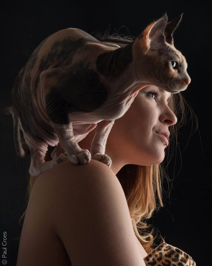 Check Out These Seriously Heartwarming Dog-Human Portraits