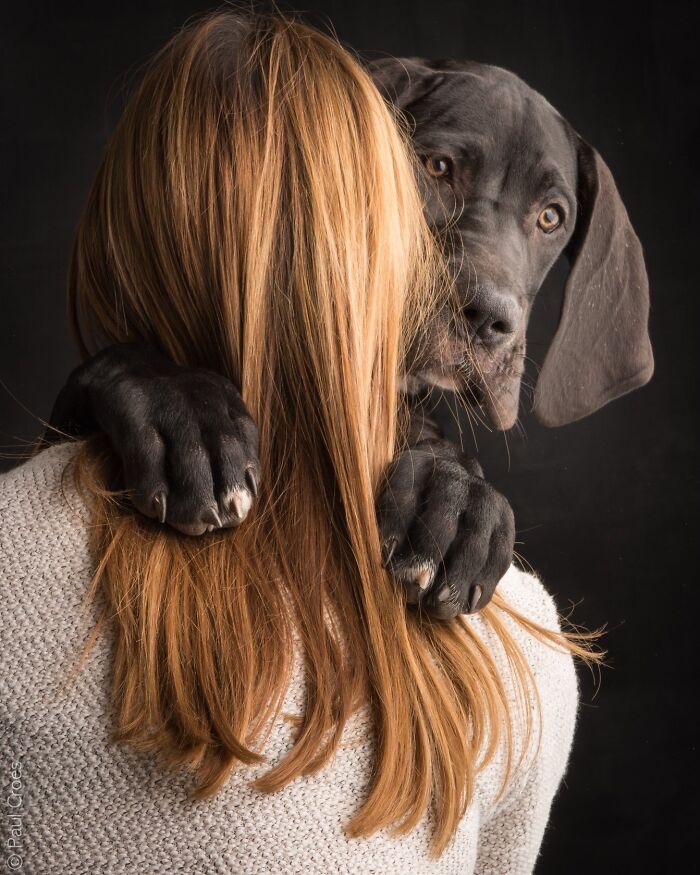 Check Out These Seriously Heartwarming Dog-Human Portraits