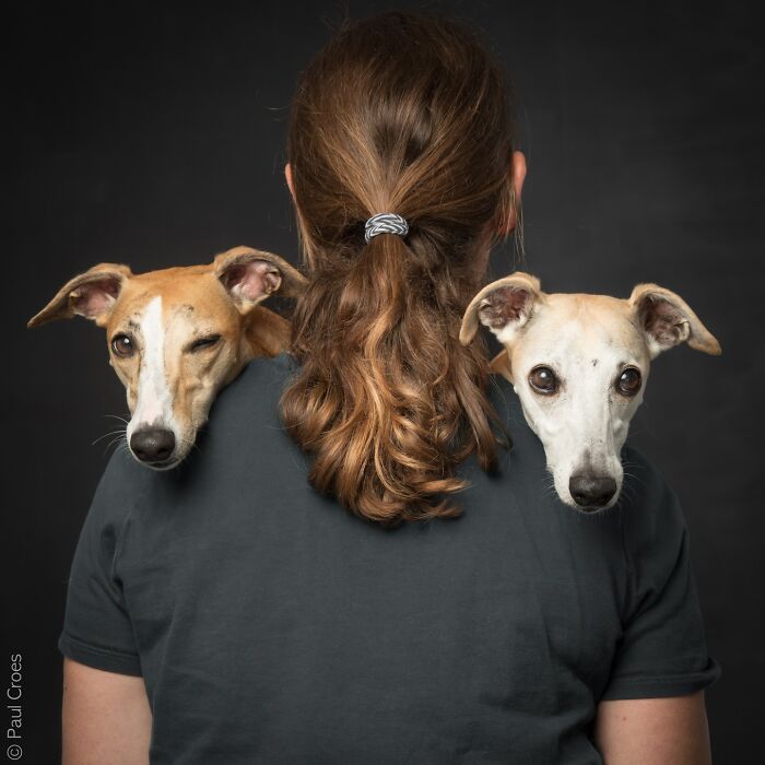 Check Out These Seriously Heartwarming Dog-Human Portraits
