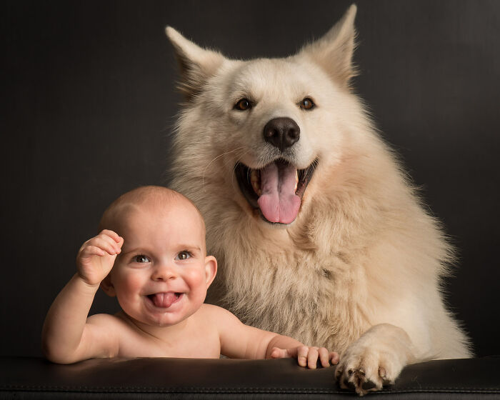 Check Out These Seriously Heartwarming Dog-Human Portraits