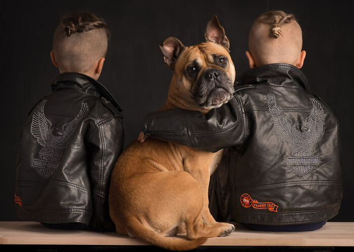Check Out These Seriously Heartwarming Dog-Human Portraits