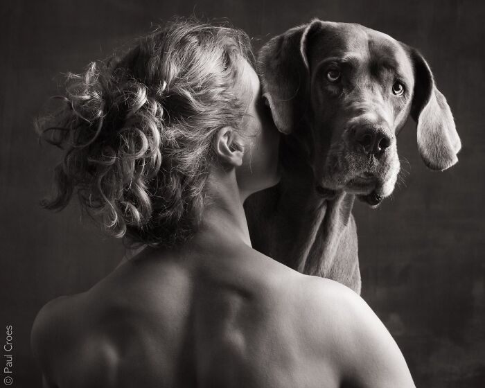 Check Out These Seriously Heartwarming Dog-Human Portraits
