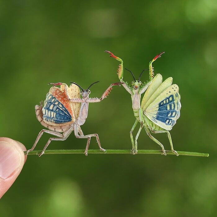 Praying Mantis – Tiny Paper Wonders