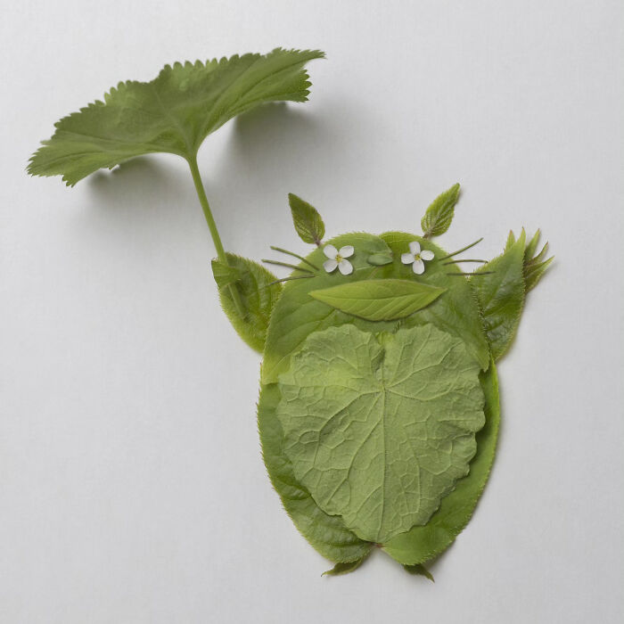 Natura Totoro – Pop Culture Goes Planty