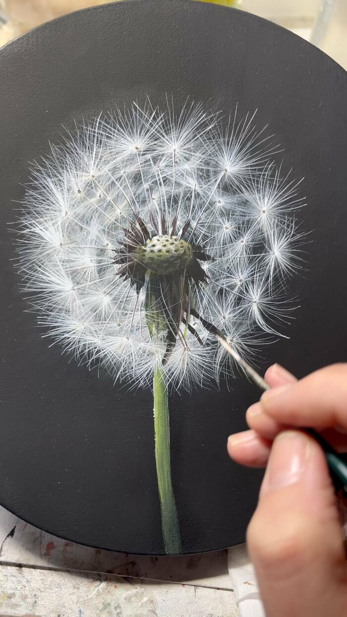 Make A Wish – Dandelions That Look Like Paintings