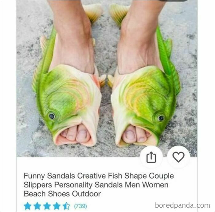 The Wildest Wish Shopping Finds That Will Make You LOL and Scratch Your Head