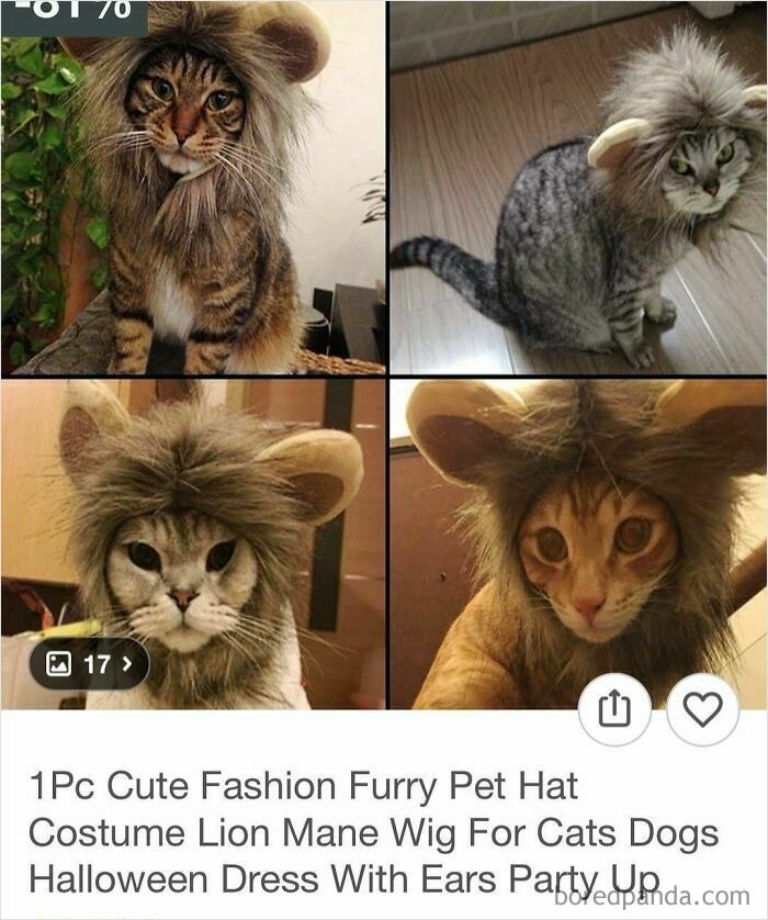 The Wildest Wish Shopping Finds That Will Make You LOL and Scratch Your Head