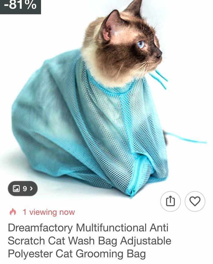 The Wildest Wish Shopping Finds That Will Make You LOL and Scratch Your Head