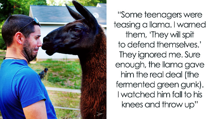 The 61 Most Satisfying Instant Karma Stories You’ve Gotta Hear Now