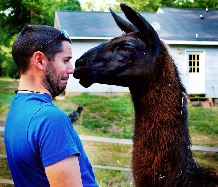 The 61 Most Satisfying Instant Karma Stories You’ve Gotta Hear Now