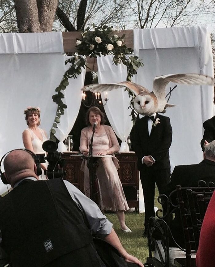 The Wildest Wedding Fails That Had Guests Questioning Life Choices