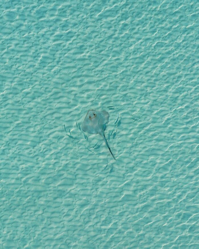 These 55 Photos Prove Minimalism Is Basically Magic