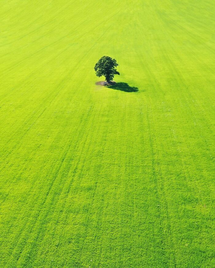 These 55 Photos Prove Minimalism Is Basically Magic