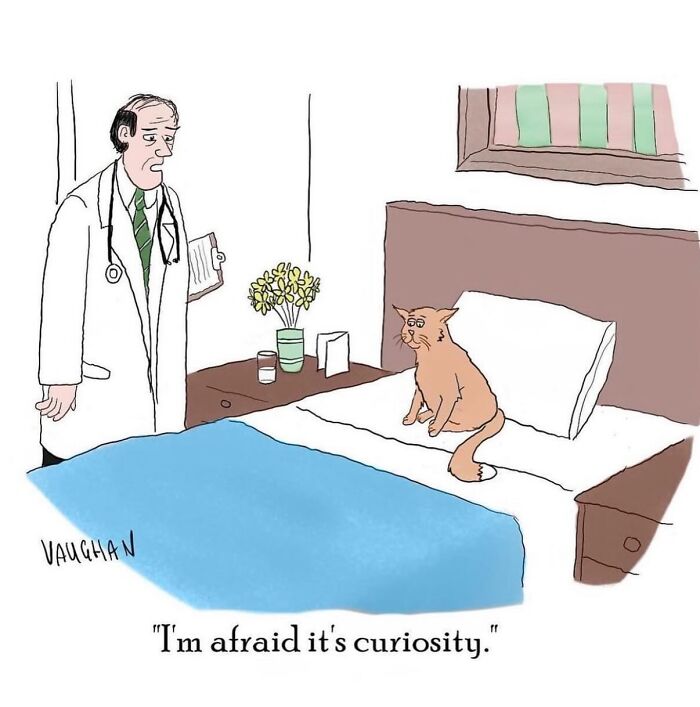 Let's Dive Into 40 Of Vaughan Tomlinson's Funniest One-Panel Cartoons!