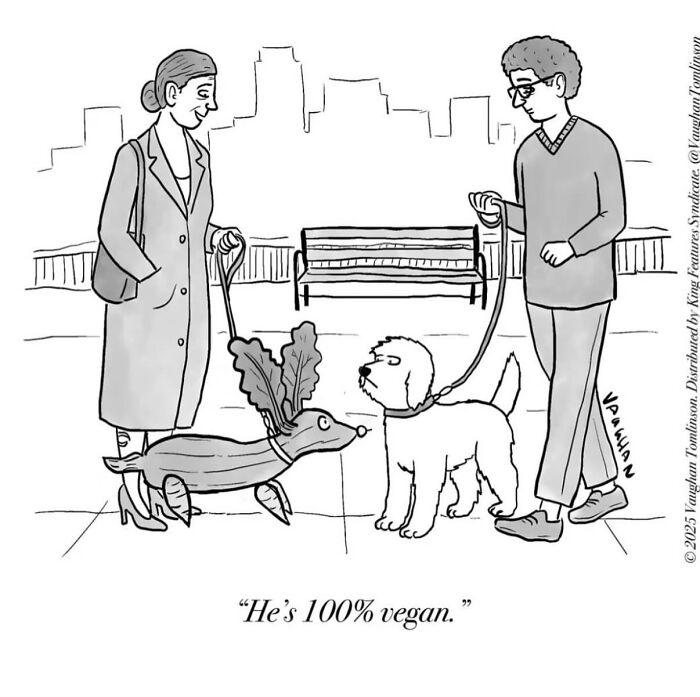 Let's Dive Into 40 Of Vaughan Tomlinson's Funniest One-Panel Cartoons!