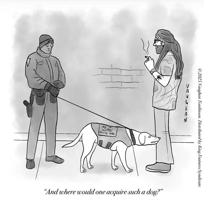 Let's Dive Into 40 Of Vaughan Tomlinson's Funniest One-Panel Cartoons!