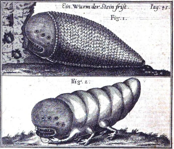 The "Shamir Worm" - An Ancient Stone-Cutting Tool From Legend That Could Cut Without Blades