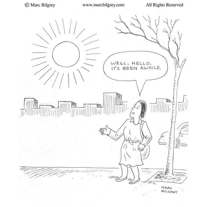 Let's Rank These One-Panel Cartoons That Prove Simplicity Is Hilarious