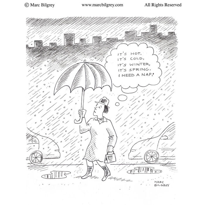 Let's Rank These One-Panel Cartoons That Prove Simplicity Is Hilarious