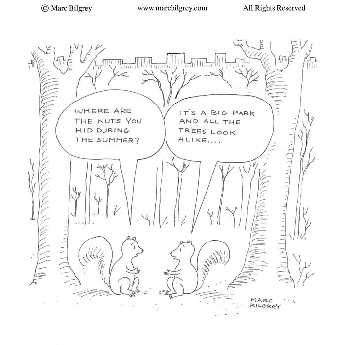 Let's Rank These One-Panel Cartoons That Prove Simplicity Is Hilarious