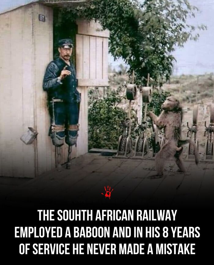 Wait, They Actually Ranked These Morbid Masterpieces?!