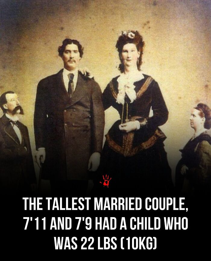 Wait, They Actually Ranked These Morbid Masterpieces?!