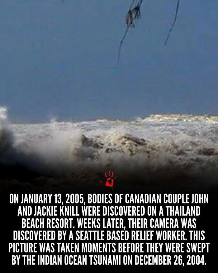 Wait, They Actually Ranked These Morbid Masterpieces?!