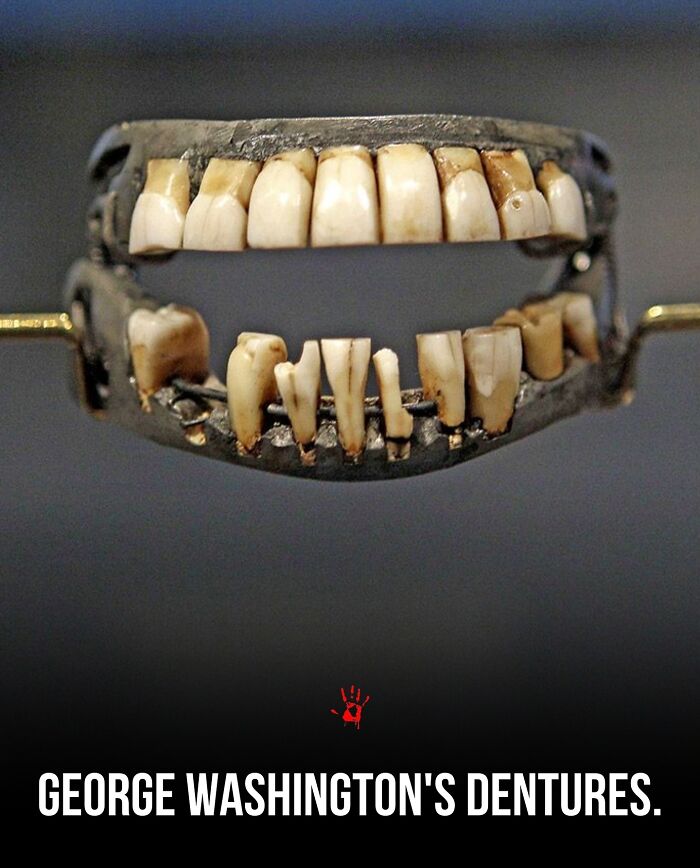 Wait, They Actually Ranked These Morbid Masterpieces?!