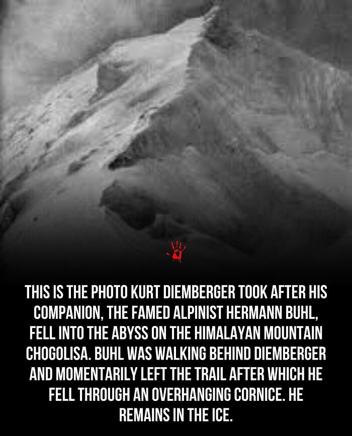 Wait, They Actually Ranked These Morbid Masterpieces?!