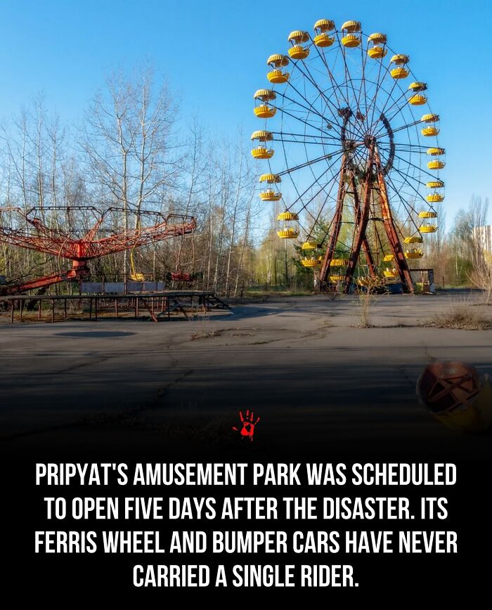 Wait, They Actually Ranked These Morbid Masterpieces?!