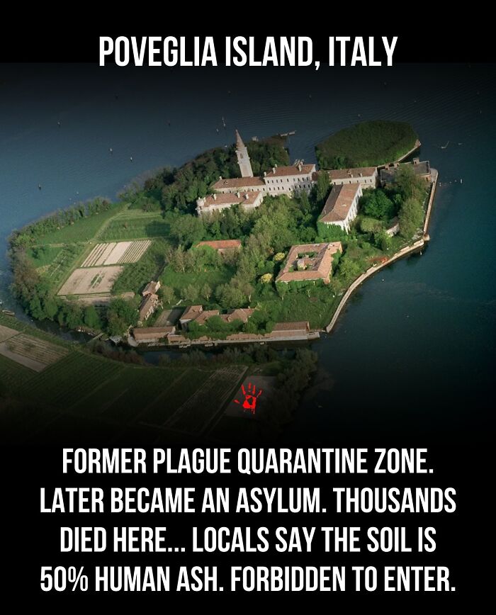 Wait, They Actually Ranked These Morbid Masterpieces?!