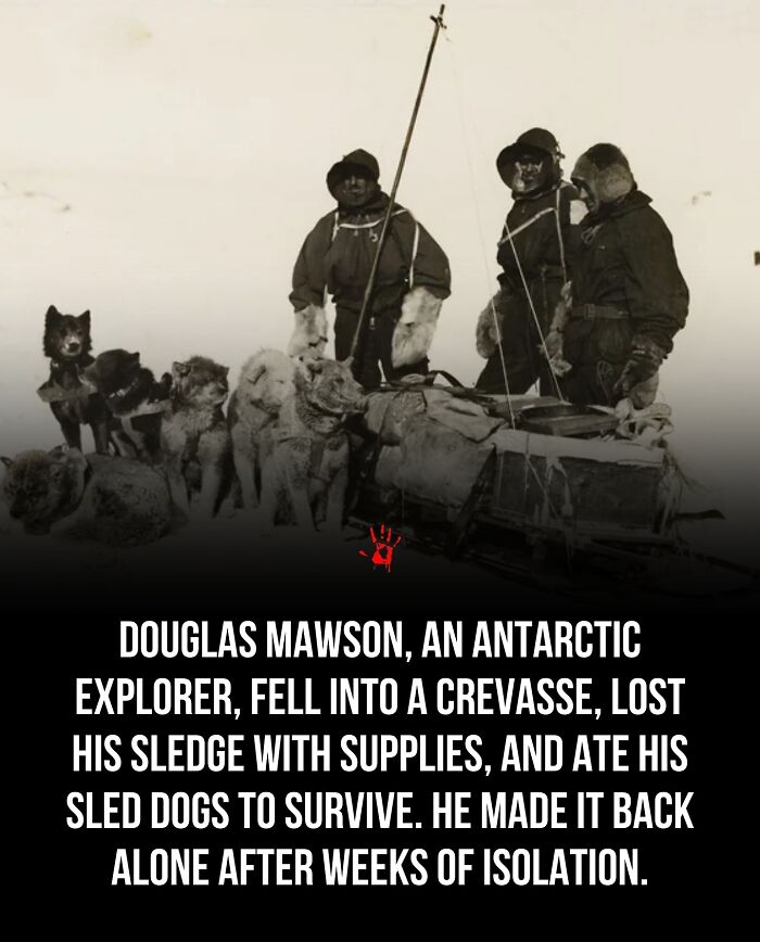 Wait, They Actually Ranked These Morbid Masterpieces?!