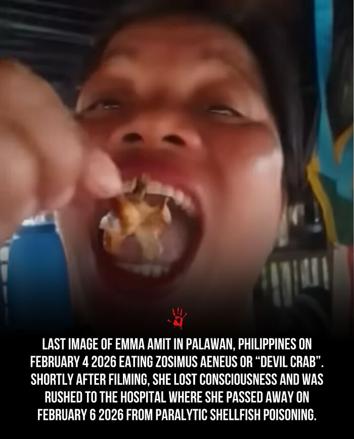 Wait, They Actually Ranked These Morbid Masterpieces?!