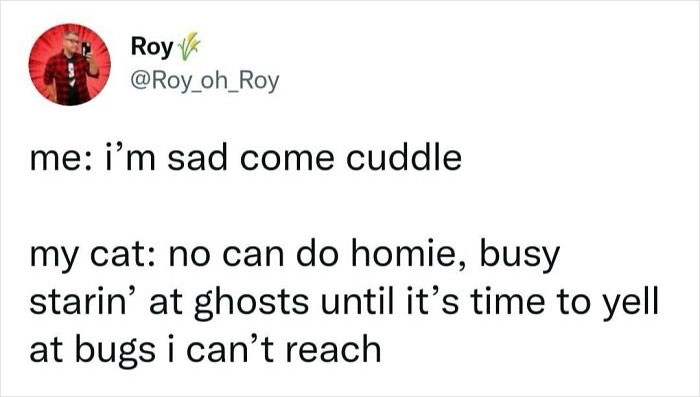 We Found The Funniest 'I Give Up But Still Laugh' Memes And Had To Share