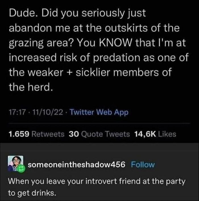 We Found The Funniest 'I Give Up But Still Laugh' Memes And Had To Share