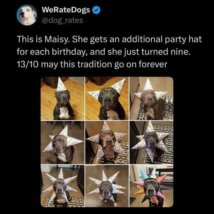 Maisy's Epic Party Hat Collection – Hats Off To You!