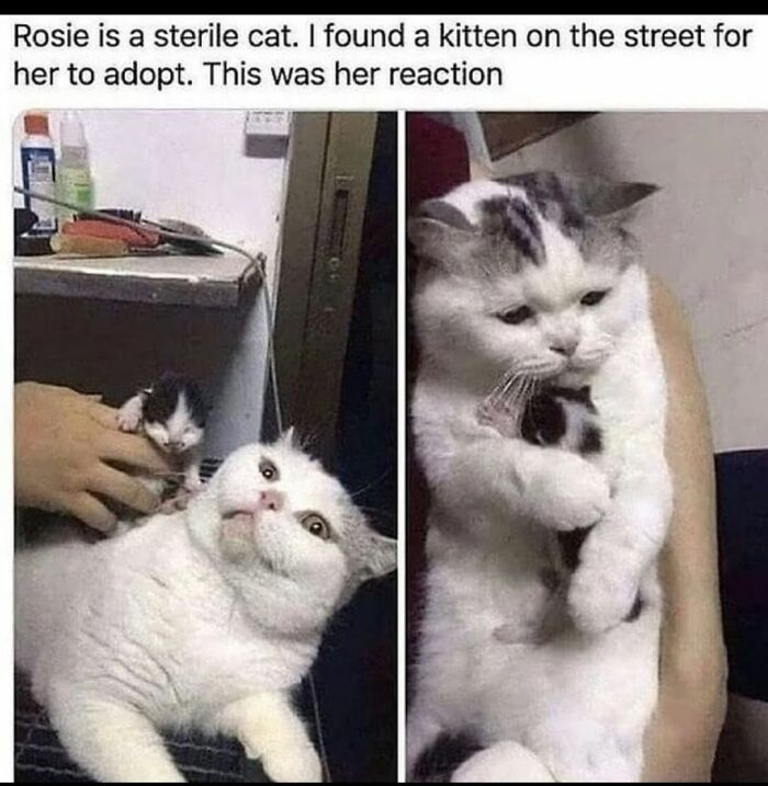 Wait Till You See These Adorable Moments That’ll Totally Warm Your Soul