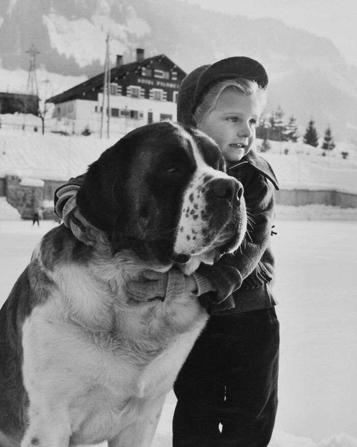 Kid + St. Bernard by Janine Niépce, 1954