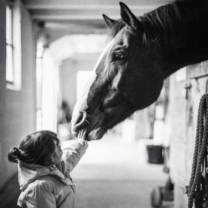 Jennifer Macneill’s Snapshot