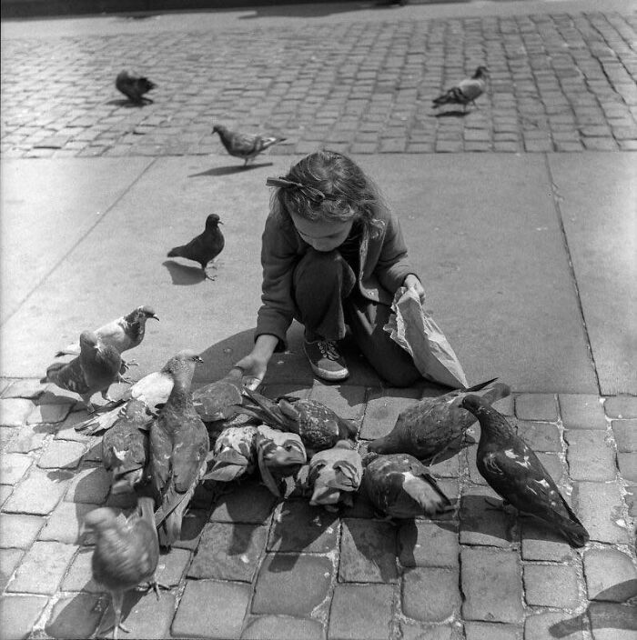 Harold Feinstein: Girl Feeding Pigeons, 1946
