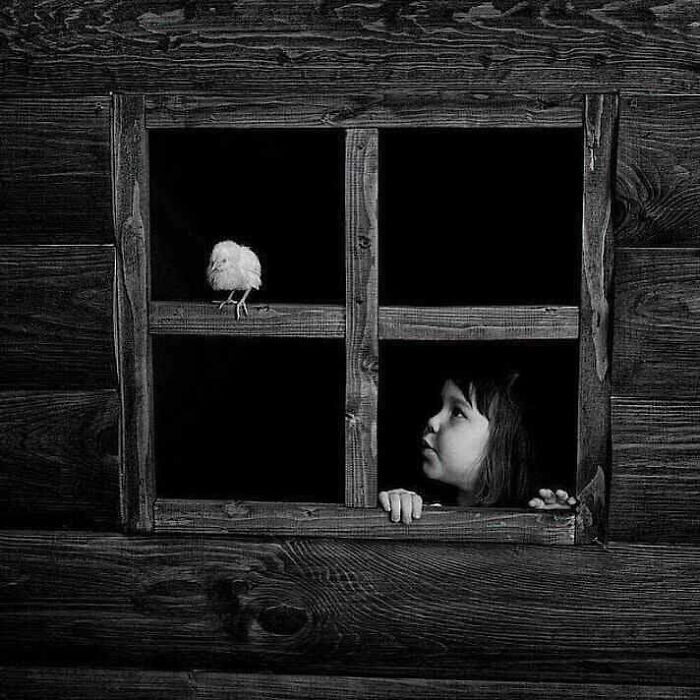 Svetlana Irevlina’s Timeless Capture