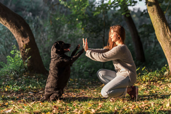 Wait, People Actually Walked Into Psychics And Left With Stories That Are Totally Bonkers!
