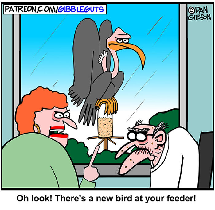 These Hilarious One-Panel Comics by Dan Gibson Show Growing Old is Anything But Boring