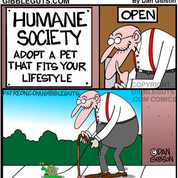 These Hilarious One-Panel Comics by Dan Gibson Show Growing Old is Anything But Boring