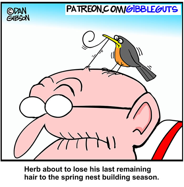 These Hilarious One-Panel Comics by Dan Gibson Show Growing Old is Anything But Boring