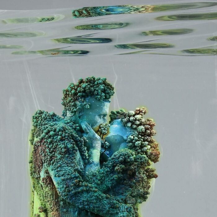 Part Of The New Generation Restoration Coral Series