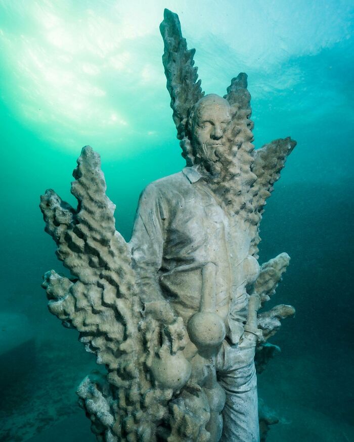 Professor Peter Harrison