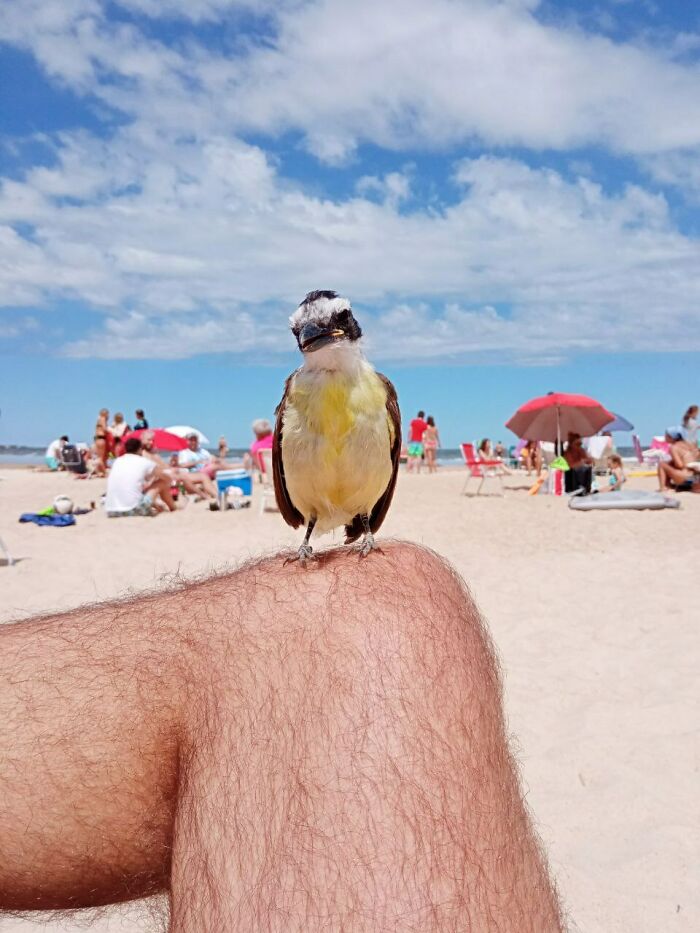 Got a New Beach Buddy Who’s Way Cooler Than Me